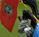 XXI Campeonato Brasileiro Amador Pré-Juvenil e Juvenil de Golfe